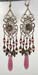 scarab filigree orchid